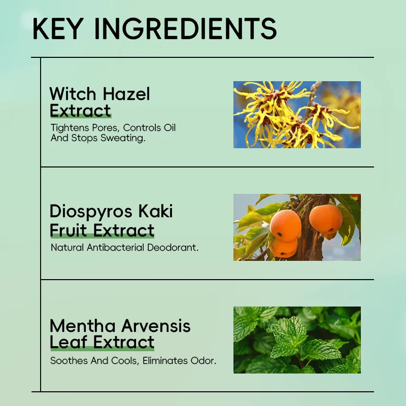 Image showcasing key ingredients: Witch Hazel Extract for tightening pores, Diospyros Kaki Fruit Extract as a natural antibacterial deodorant, and Mentha Arvensis Leaf Extract for soothing, cooling, and eliminating odor.